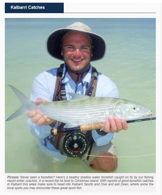 Kalbari bonefish.jpg