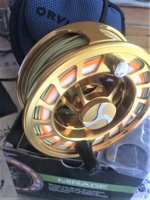 image1 (2).jpeg