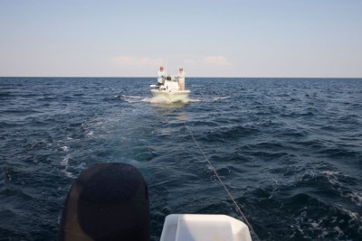 BH19-3448s.JPG