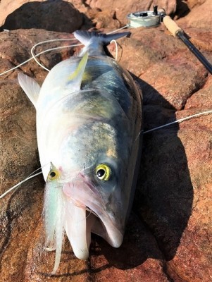 The synthetic Deceiver herring pattern firmly in the corner