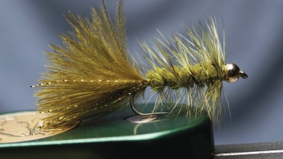 Bead head olive wooly bugger