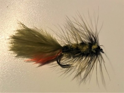 Unweighted olive variegated wooly bugger with hot spot
