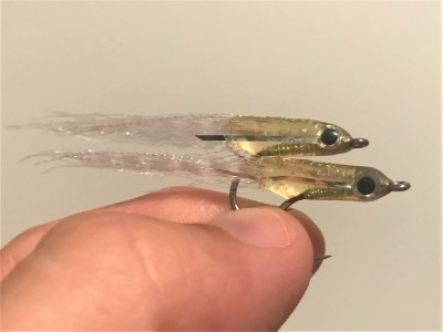 A pair of Eye flies