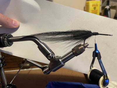 3. Four saddle feathers.jpg