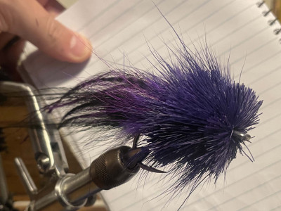 8c. Deerhair.jpg