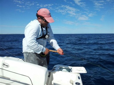 20130824_135841_resized.jpg