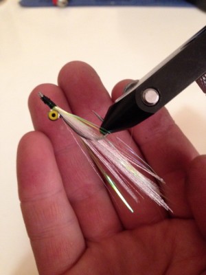 clouser small.jpg