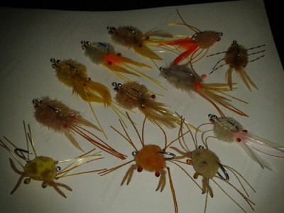 crabs/shrimps
