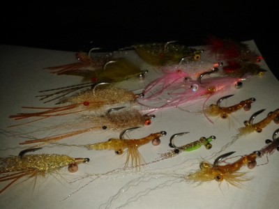 crabs/shrimps