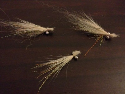Shrimpies
