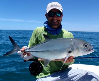 A Big eye Trevally
