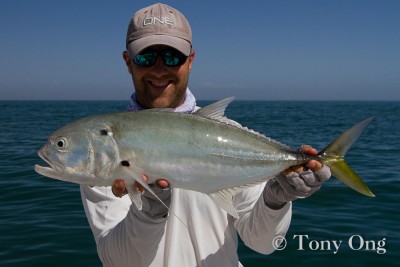 A Tille Trevally